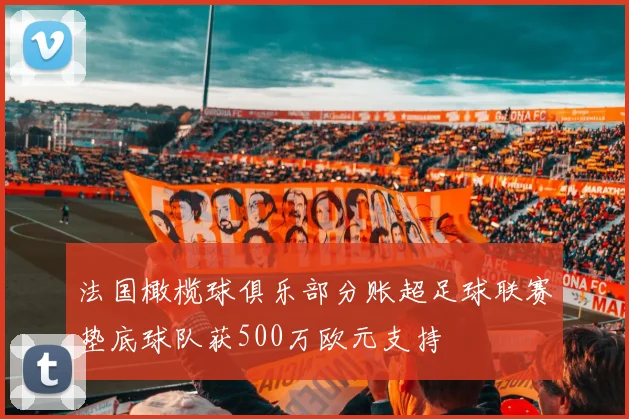 法国橄榄球俱乐部分账超足球联赛垫底球队获500万欧元支持